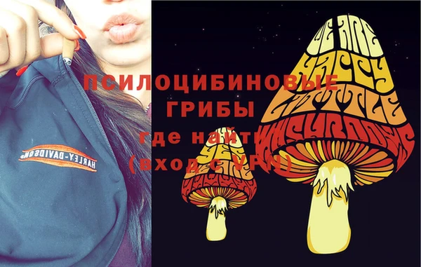 сатива Алзамай