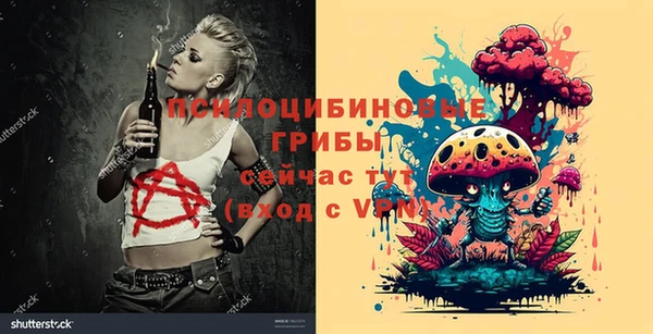 сатива Алзамай