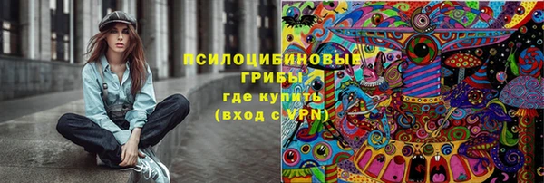 сатива Алзамай