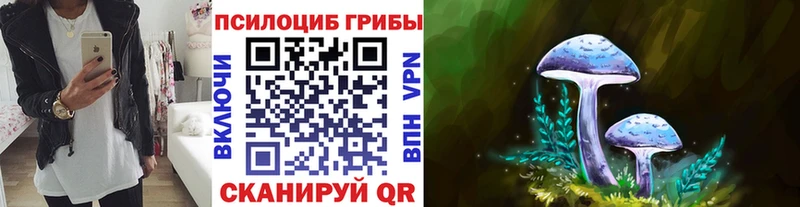 Псилоцибиновые грибы мицелий  Петухово 